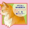 NPO法人 動物愛護団体エ...(保護活動者)