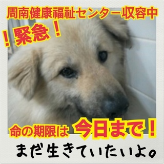 おうち決定⭐︎ありがとうございました⭐︎