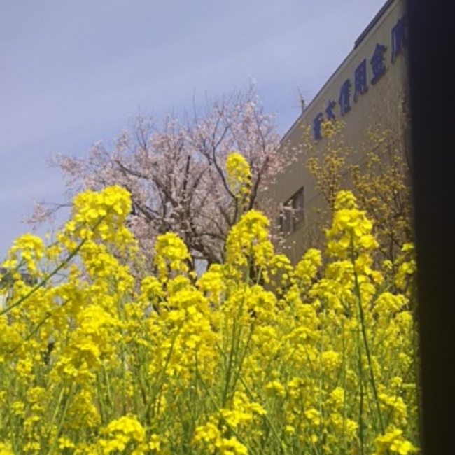 ラトローのカバー写真