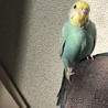 とみすけ