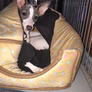 皆様方のご協力  ありがとうございます。