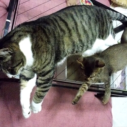 こんなにハンサムになりました。