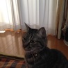 anoneさん