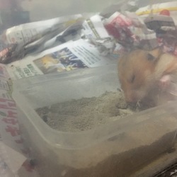 お疲れお母さん