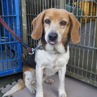 今度こそ幸せになりたい女の子