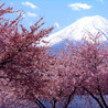 almond_peak