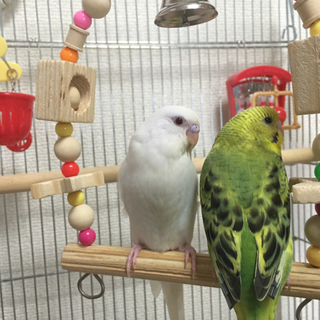 皆様ありがとうございました。