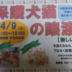 保護犬猫の譲渡会