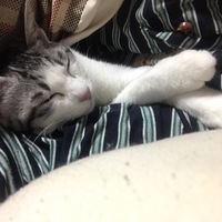 るーちゃん