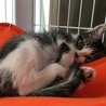 ハンモックにて