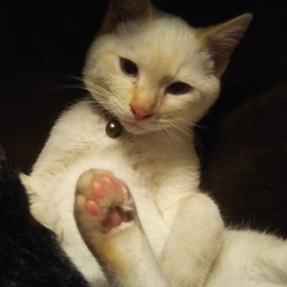 ありがとうございました(^-^*)