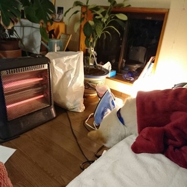 姉のベッドでスヤスヤ  