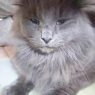 素敵なご縁がありました！ありがとうございました♪