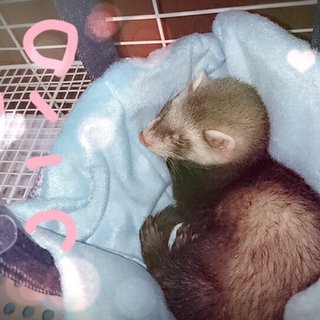 応募多数のため一度締め切らせていただきます