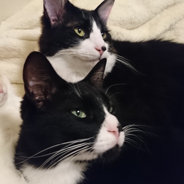 おじさんと甥っ子、やっぱり似てる①