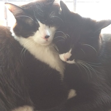 おじさんと甥っ子、やっぱり似てる②