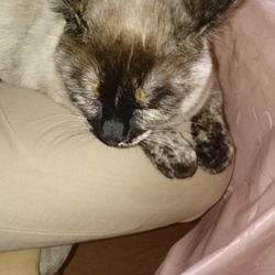 「久しぶりに更新」サムネイル2