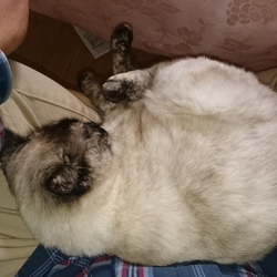 「久しぶりに更新」サムネイル3