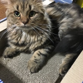 沢山の応募を頂きましたが…