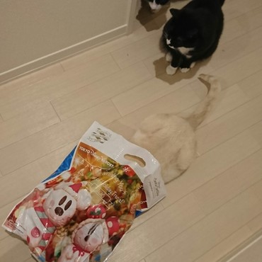 ゾロゾロゾロ、袋に入るための順番待ち。