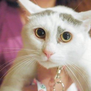 生後10か月　甘えん坊の琥珀ちゃん