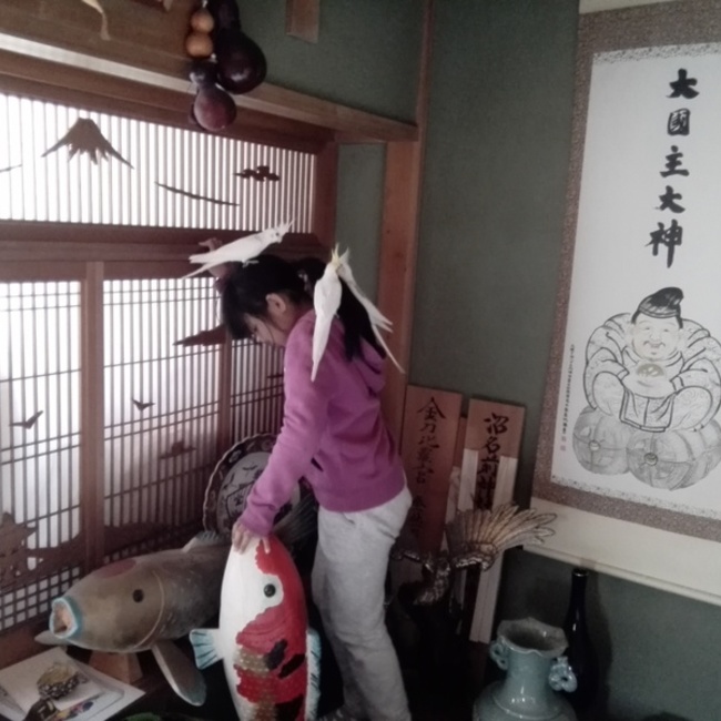 GHhakoのカバー写真