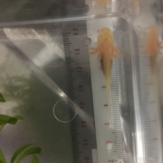 素敵な方々にお世話になりありがとうございました