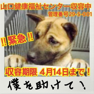 おうちが決まりました⭐︎