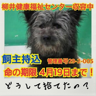 おうちが決まりました！