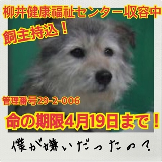 おうちが決まりました！