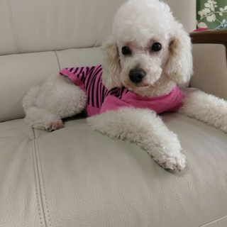 ボクを宜しくお願い