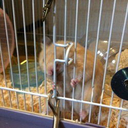 写真好き？？？