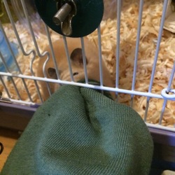 「写真好き？？？」サムネイル2