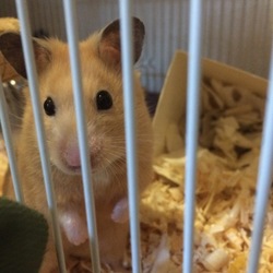 「写真好き？？？」サムネイル3