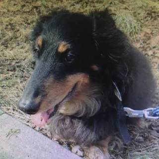 19日！期限切迫！助けて下さい！