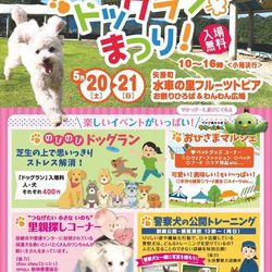 わんわんフェスティバル in やかげ 水車の里フルーツトピア ドッグランまつり！