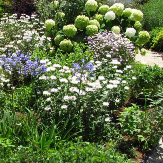 hananekoのカバー写真