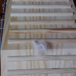 「うさぎ偽妊娠経過(７日目)」サムネイル3