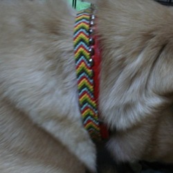 「家族でお揃い」サムネイル2