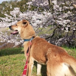 いつも気にかけ応援くださりありがとうございます！