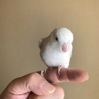 たくさんのご応募ありがとうございました(^ ^)