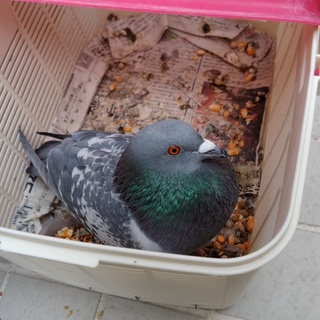 ありがとうございました！