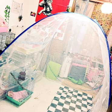 モモンガやラットお散歩用テント