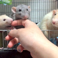 「近況報告♪」サムネイル3