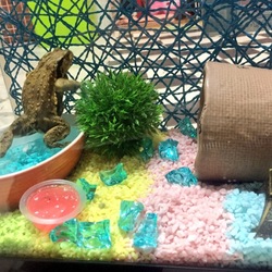 「近況報告♪」サムネイル2