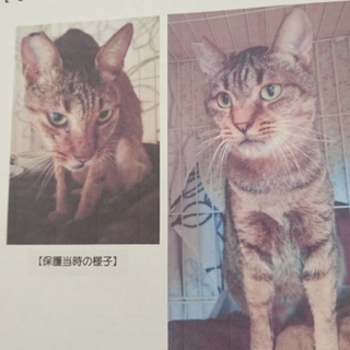 大きくなりました‼