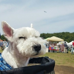 HUG　ANIMALS! ワン(^_-)-☆