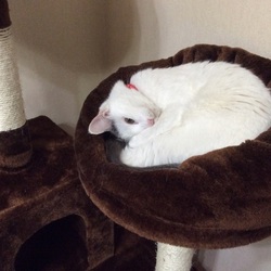 みゅうちゃん元気