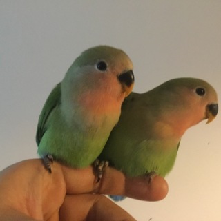 たくさんのご応募本当にありがとうございました！