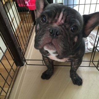 たくさんのあたたかいお申し出をいただきました